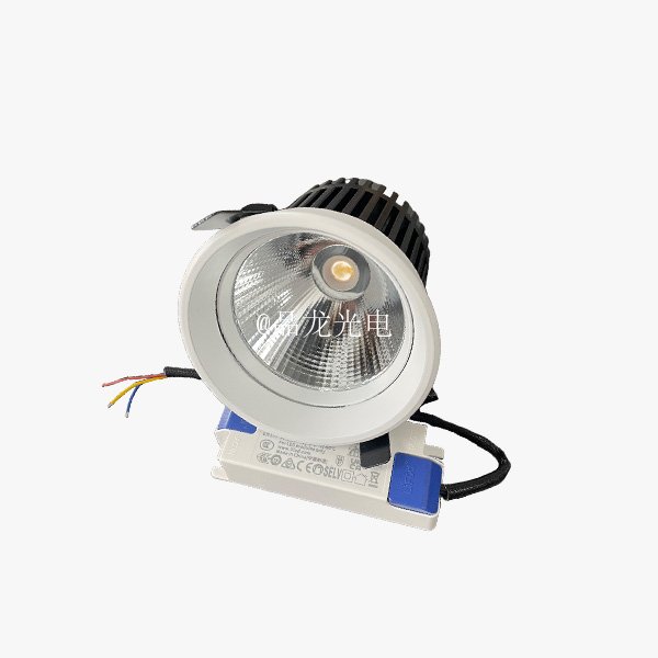 珠宝大灯/LED照货天花灯