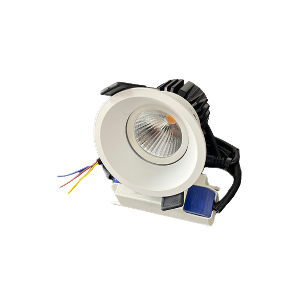 LED大福款环境天花灯